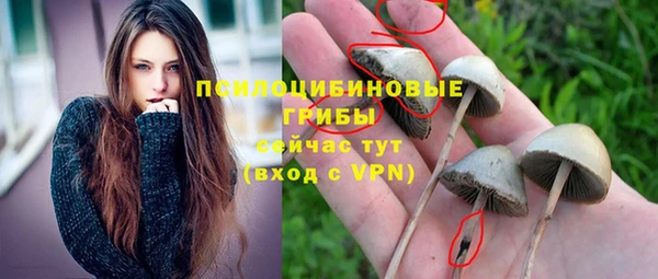 2c-b Арсеньев