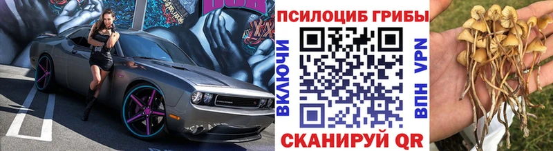 Купить закладки Алейск Псилоцибиновые грибы Magic Shrooms